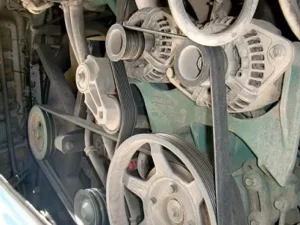 Serpentine Belt on Engine